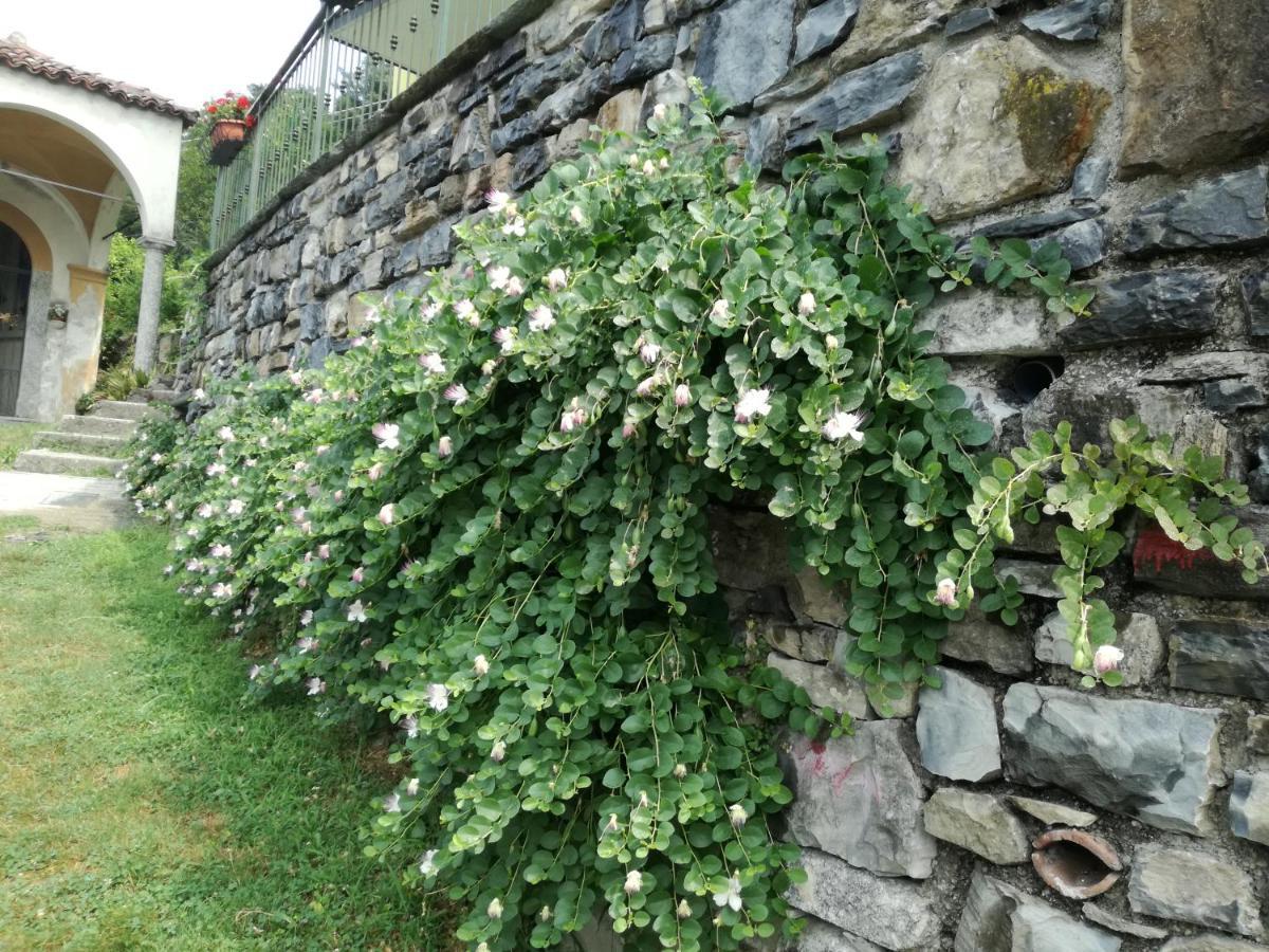 Apartamento Balcone Dei Limoni Nesso Exterior foto